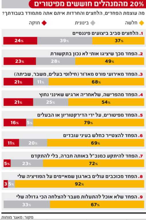 סקר מנכ״לים